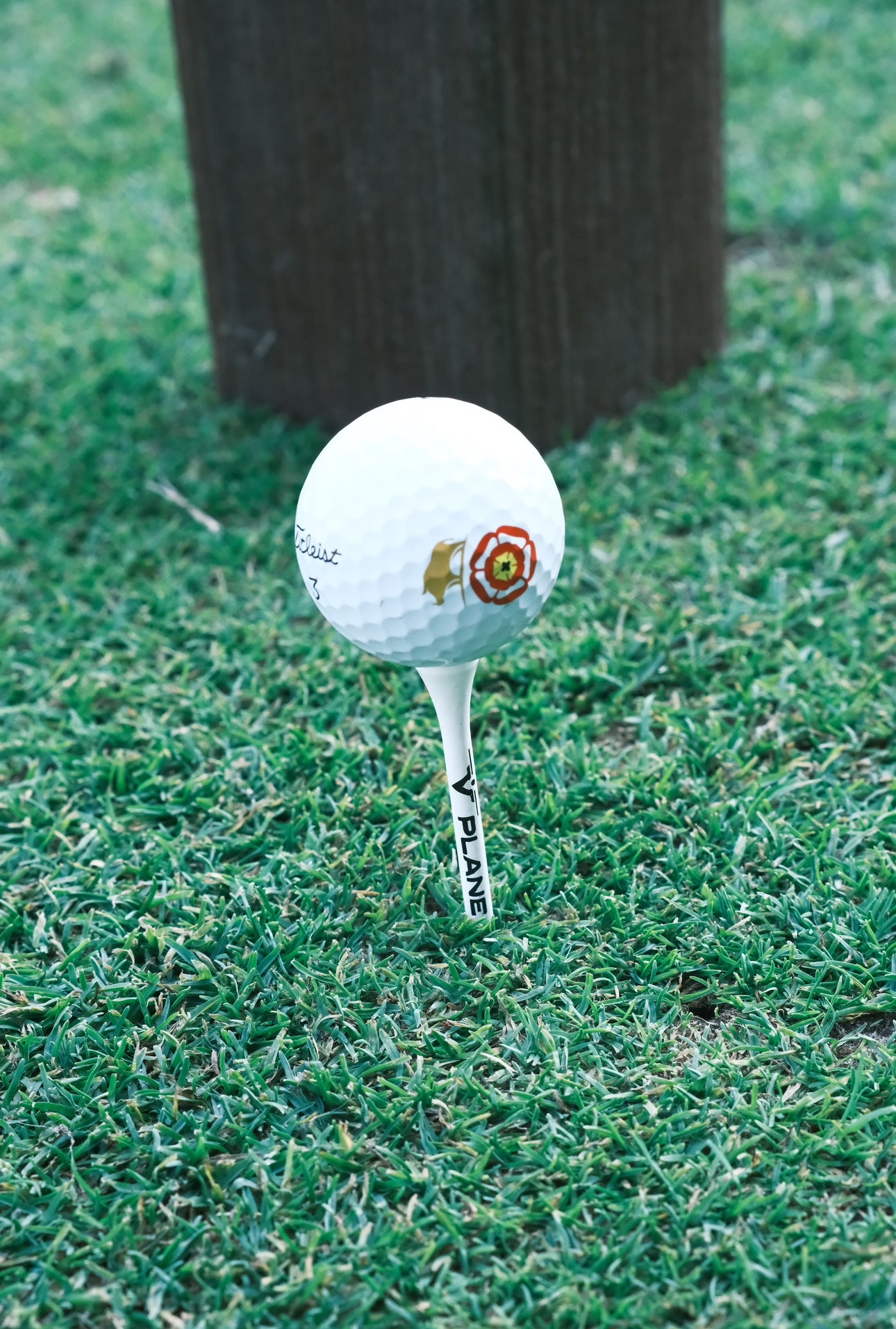 V Plane Golf Tee's